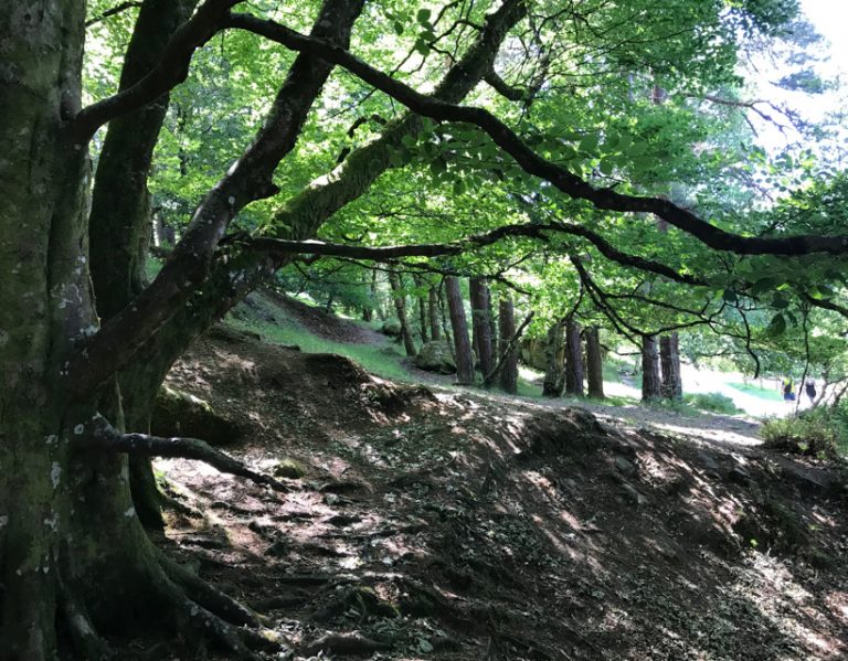 Experiencing Ireland's Sacred Places: Glendalough